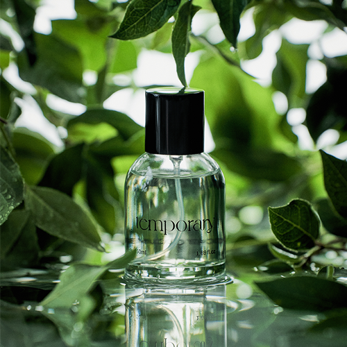 WBSKIN Temporary Woody Cucumber Eau De Parfum