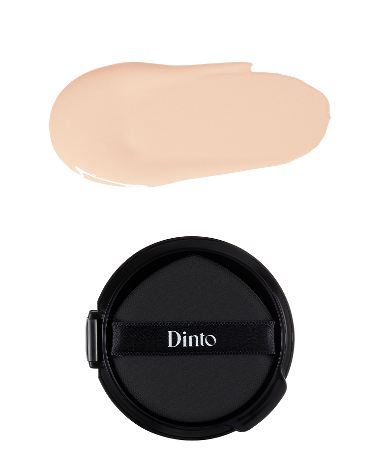 Dinto Blurry Finish Cushion Refill (2 types)