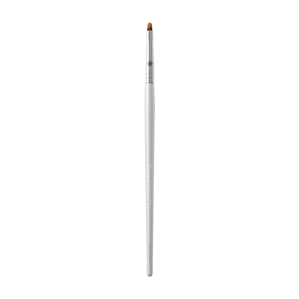 Piccasso Proof Silver 13 Concealer