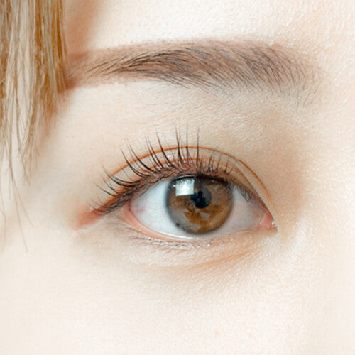 Clione Prime Clione Self Eyelash Perm Set (10 uses)