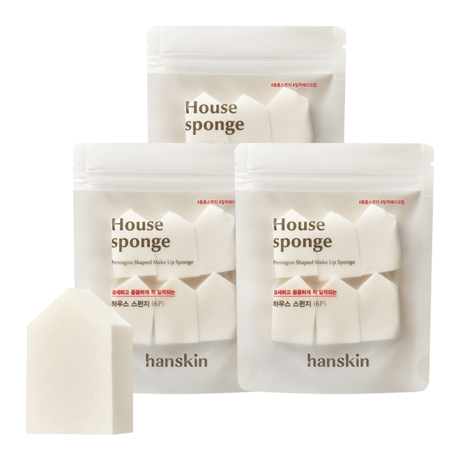 Hanskin House Sponge (6 pack) 1 Box