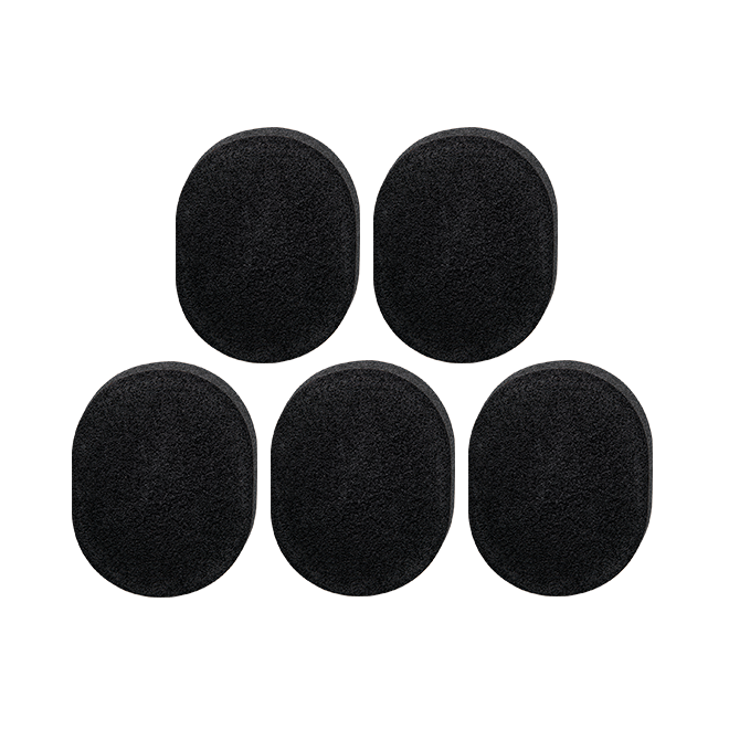 Hanskin Sea Sponge Sponge (5 Pack)