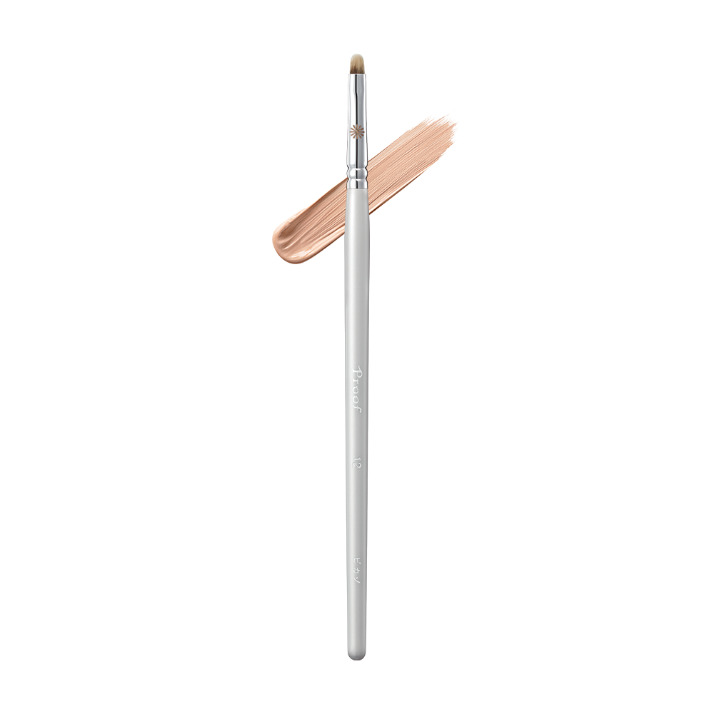 Piccasso Proof Silver 12 Concealer