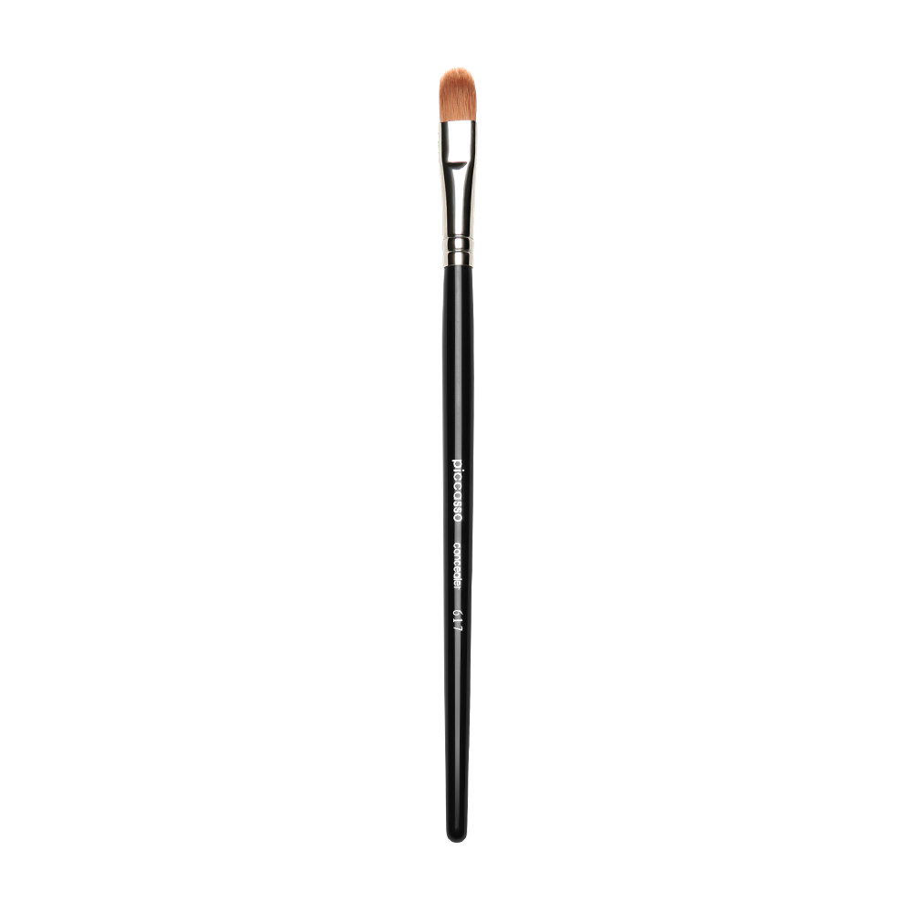 Piccasso 617 Concealer
