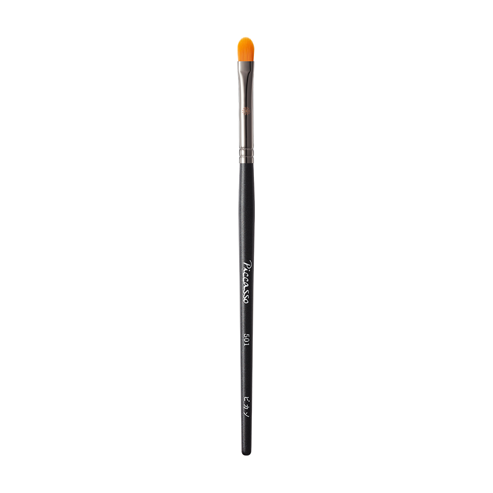 Piccasso 501 Lip