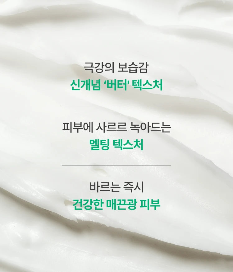 Innisfree [50mL tube] Green Tea Ceramide Cream